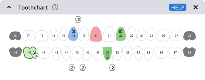Toothchart & Labeling