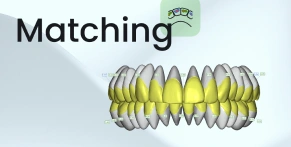 Matching in SmileInspector